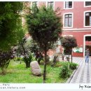 안녕,고양이 이미지