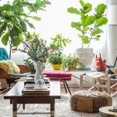 식물 인테리어 이미지