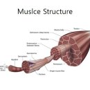 서부목장 이미지