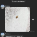 비치움클린오아시스 이미지