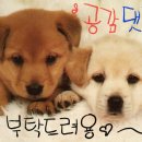 까르디움 이미지