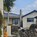 하늘고래블루 이미지