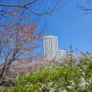 어린이공원 32호 이미지