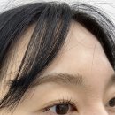 [구로 속눈썹펌/살롱드림 속눈썹펌 구로점] feat. 셀프 펌 망하고 샵 다녀온 *전/후 상세 후기