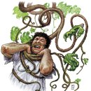 Vine(바인)