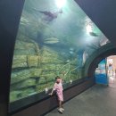 반디랜드 곤충박물관 이미지