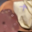 일선농장 | 리멤 독서모임 후기