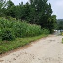 오송서울공인중개사사무소 이미지