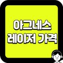 청담엔샤인의원 | 아그네스 레이저 가격 총정리 (2025년 기준)