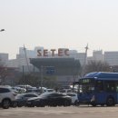 더세이블컴퍼니 | 2023 희귀반려동물박람회 다녀왔습니다. (세텍)