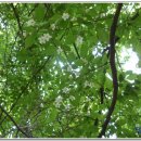 남창마을 이미지