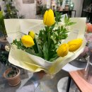 [일원1] 마음을 담은 색연필화 | 일원역 꽃집 추천｜튤립 꽃다발 3만원으로 맞춘 소호앤노호 일원점 후기🌷