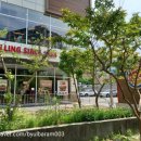 버거킹 김해장유DT점 이미지