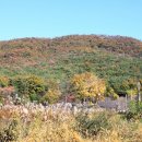 남문시장네거리 남동편 교통섬 | 강화군 - 교동향교, 교동읍성