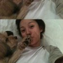 알콩달콩 이미지