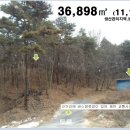 여주-0506 네이버블로그