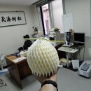 신례원의원 이미지