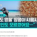 우도농부들
