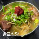 벌교식당 | 부산역 근처 맛집 추천 초량전통시장 벌교식당 가성비 내돈내산 후기