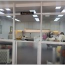 멍멍 스타일 이미지