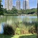 (주)나이스토탈 이미지