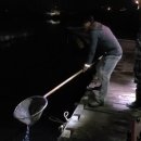 신진좌대 이미지