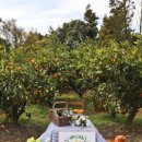 은색농장 이미지