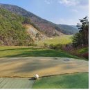 오션힐스청도골프클럽 이미지