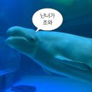 아마존수족관 - 연제구 월드컵대로 17 | 아마존수족관
