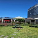 광명방앗간 | [경기 광명] 광명 롯데몰 돈가스 맛집 광명 이케아 맛집 &#39;스미카츠 롯데몰 광명점&#39; 후기