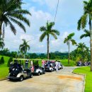 골프투어 이미지