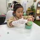 올리브피쉬솝