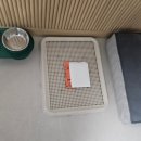 보라펫 | [국내/숙소] 평창 &#39; 모나용평 리조트 &#39; 펫룸 / 빌라콘도 28PetType(G동) 내돈내산후기