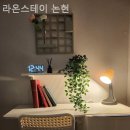 라온 스테이 이미지