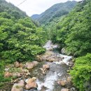 삼당천 네이버블로그