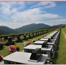 고향개장집 이미지