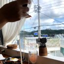 바다야 밥 먹자 이미지