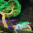 별빛정원 이미지