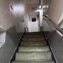 아보하 | 을지로 셀프사진관 아보하스튜디오 만삭 촬영 후기