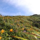 경산동행 산악회제 95차 거창 무룡산 정기산행(야유회) 이미지