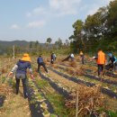 자매마을회관 이미지