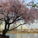 공간24 게스트하우스(잠실점) 이미지