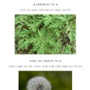 각종산약초