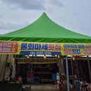 물회마세