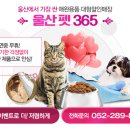 주연동물병원 이미지