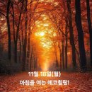 11월 18일(월)아침을 여는 건강한 에코힐링(글 전체보기는 글주소 클릭!) 이미지