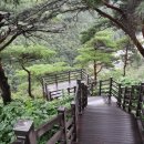 불영계곡1전망대 이미지