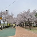 청주서부소방서(오송119안전센터) 이미지