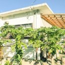 파파야농장 화장실 이미지