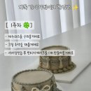 다독DADOG